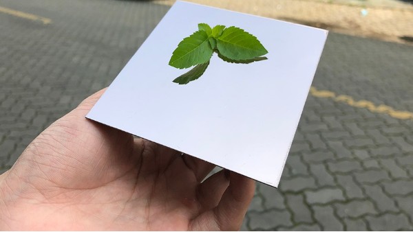 為什么彩色不銹鋼裝飾板會(huì)大受歡迎？