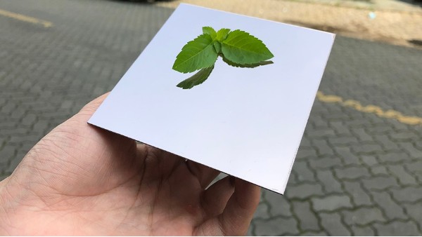 不銹鋼裝飾板加工需要注意什么？
